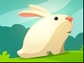 Juego Greedy Rabbit