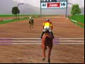 Juego Jumping Horses Champions