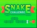 Juego Snake Challenge