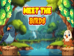 Juego Meet The Birds 